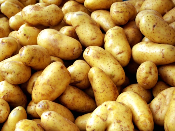 Обработанный картофель не прорастает